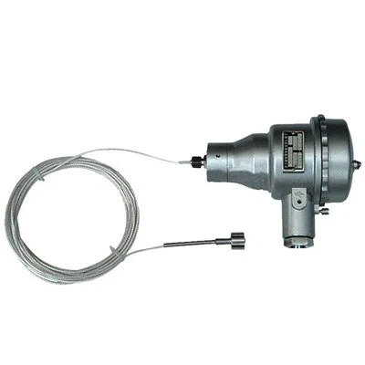 Patlamaya- dayanıklı RTD